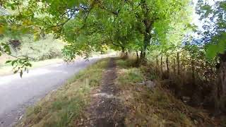 En bici x CAMINO los NOGALES colores otoño 2024 cordillera patagonia argentina bike nature [upl. by Elidad551]