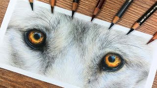 How To Draw WOLF EYES in COLORED PENCIL  Drawing Tutorial [upl. by Eemia]