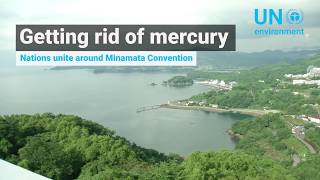 Getting rid of mercury [upl. by Collen]