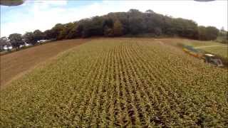 Ensilage de maïs  Ensileuse Krone  Maïshackseln  Corn silage [upl. by Aldercy916]