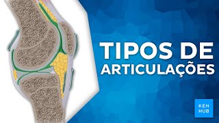 Tipos de articulações  Revisão didática e completa  Kenhub [upl. by Lotty]