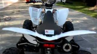 Yamaha Raptor 250 2011 walkthrough and start up [upl. by Chelsea642]