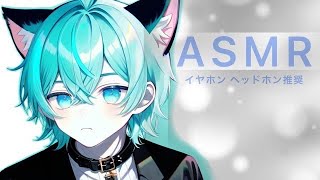 ASMRタオル＆お耳塞ぎ♪ [upl. by Aninat601]