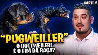 ROTTWEILER VAI ACABAR Parte 2 [upl. by Mercer]