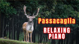 Passacaglia 1 hour version HandelHalvorsen beautiful piano music  relaxing music  sleep music [upl. by Kcoj]