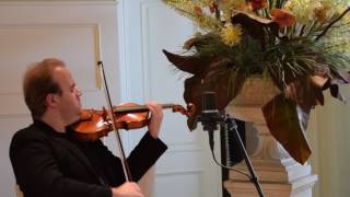 Guarneri Del Gesu 1730 quotKreislerquot Violin Model Demo [upl. by Sheilah]