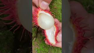 Guess the fruit name  fruit shorts viral trending new amezing plushimanshuplus facts [upl. by Jain]