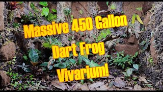 450 Gallon Poison Dart Frog Vivarium tour [upl. by Tirzah799]