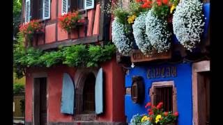 Les fleurs et L Alsace [upl. by Latreshia]