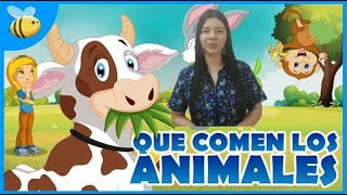 ¿Qué comen los animales Animales herbívoros carnívoros y omnívoros C Naturales 20 mayo [upl. by Des982]