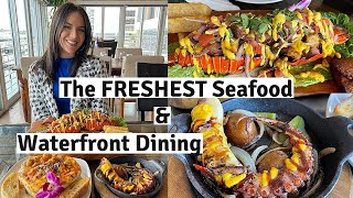 Freshest Seafood Restaurant in Miami  Waterfront View Casablanca on the Bay  Restaurants in Miami [upl. by Monroy287]