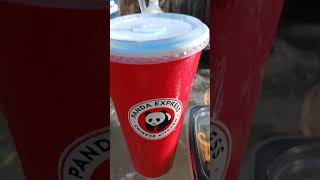 PANDA EXPRESS PANDA EXPRESS IT LETS GO [upl. by Feliks]