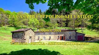 La CASA del PEPOLINO SELVATICO  Casale in Vendita a Abetone Cutigliano PT con giardino RIF 2064 [upl. by Airamanna]