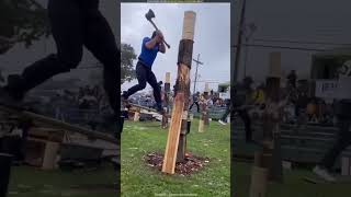 Tree wood cutting challange sciencefacts facts shorts [upl. by Alek339]