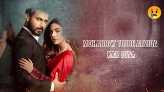 Mohabbat Tujhe Alvida Kar Diya  Zahid Ahmed  Sonya Hussain  Sahir Ali Bagga [upl. by Melania]