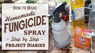 ★ How to Make Cheap Homemade Fungicide Complete Step by Step Guide [upl. by Aicemed15]