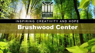 Brushwood Breath Mindfulness Series I Am Peaceful Meditation [upl. by Merv]