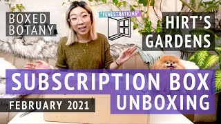 Hirts Boxed Botany  February 2021 Houseplant Subscription Box Unboxing [upl. by Aissatsan588]