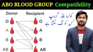 blood transfusion  ABO blood group compatibility [upl. by Lorette]