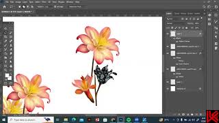 use different effects on flower to create pattern for textile designing in adobe photoshop classes [upl. by Ahsiekal]