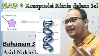 KSSM Bio Ting 4  Bab 4  Komposisi Kimia dalam Sel Part 3 Asid Nukleik [upl. by Frodeen78]