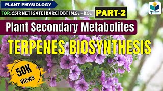 PLANTS SECONDARY METABOLITES PART2 TERPENES BIOSYNTHESIS CSIR NET [upl. by Miarzim569]