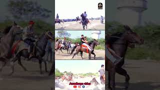 Horse Race  હોર્સ રેસ short shorts shortsfeed [upl. by Enimsaj]