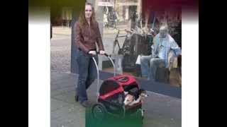 DoggyRide Mini Stroller [upl. by Altman]