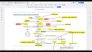 phenylalanine metabolism and catecholamine synthesis [upl. by Eyks]