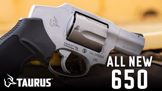 New Taurus 650 Double Action Revolver in 357 Magnum  38 Special Range Review [upl. by Ailati833]