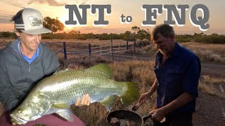 PERSISTENCE on BARRAMUNDI  Lake tinaroo [upl. by Einahpats43]