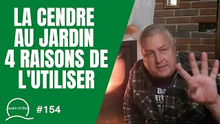 154La cendre au jardin les 4 raisons de lutiliser [upl. by Fabiano]