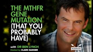 The MTHFR Gene Mutation That You Probably Have  Dr Ben Lynch [upl. by Belicia]