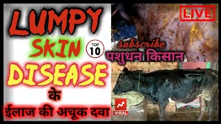 Lumpy skin disease treatment lumpy skin disease in cattle  lumpy skin disease treatment in hindi [upl. by Eusassilem695]