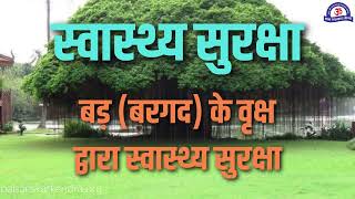 बरगद के वृक्ष द्वारा स्वास्थ्य सुरक्षा  Amazing Benefits of Banyan Tree  बरगद के फायदे क्या है [upl. by Lj]