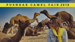 Pushkar Mela 2018  Part 1  Largest Camel Gathering In the World  Rajasthan  DesiGirl Traveller [upl. by Shana677]