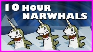 Narwhals  10 Hours [upl. by Acinok]