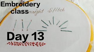 Basic Hand embroidery stitches 🪡 Straight stitch हाथ की कढ़ाई के टाके Day 13 Shebi8650 [upl. by Seavey708]