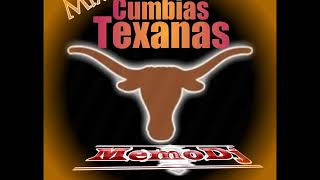 CUMBIAS TEXANAS MIX [upl. by Coucher266]