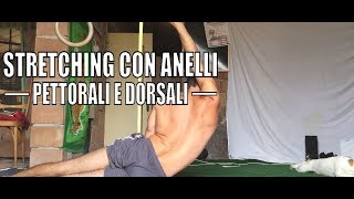 STRETCHING PETTORALI E DORSALI CON ANELLI [upl. by Mandel680]