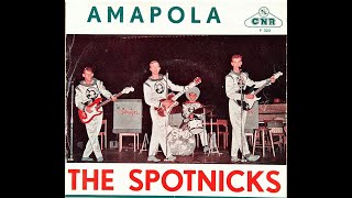 AMAPOLA IN THE STYLE OF THE SPOTNICKS  ROBERTO ZEOLLA ON YAMAHA GENOS [upl. by Natanhoj]