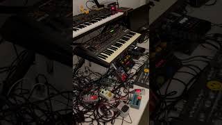 Live with Quasimidi Sirius Elektron Digitakt Behringer TD3 Jomox Mbase amp more 10 techno [upl. by Erinna]