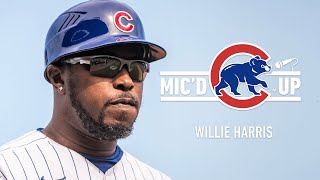 Cubs Third Base Coach Willie Harris is Micd Up During a Spring Training Game [upl. by Mota]