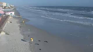 NSB North Beach Cam [upl. by Nedloh]