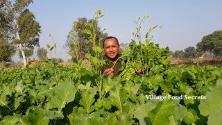 Gandlan Da Saag aur Bajre ki Roti  Saag Saag Sarson Ka Saag  Grandma Style  Village Food Secrets [upl. by Budde]