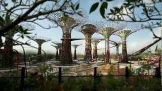 Supertrees Grove Tilt Shift Video [upl. by Copeland754]