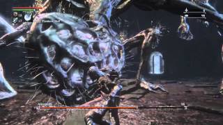 Bloodborne  Amygdala Boss in Cursed Defiled Chalice dungeon with Commentary [upl. by Akenom415]