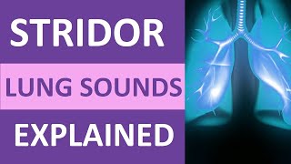 Stridor Lung Sound Audio Nursing NCLEX Review  Stridor Breath Sounds nursing [upl. by Bob120]