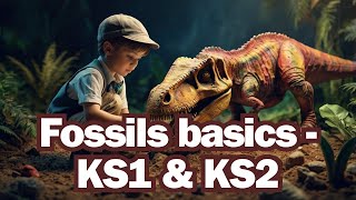 The basics of fossils for KS1 amp KS2 [upl. by Aloel]