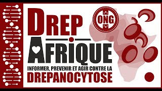 FIFDA 2022  PALUDISME DREPANOCYTOSE PART 1 Pr D DIALLO et Pr P BUFFET [upl. by Eelegna]